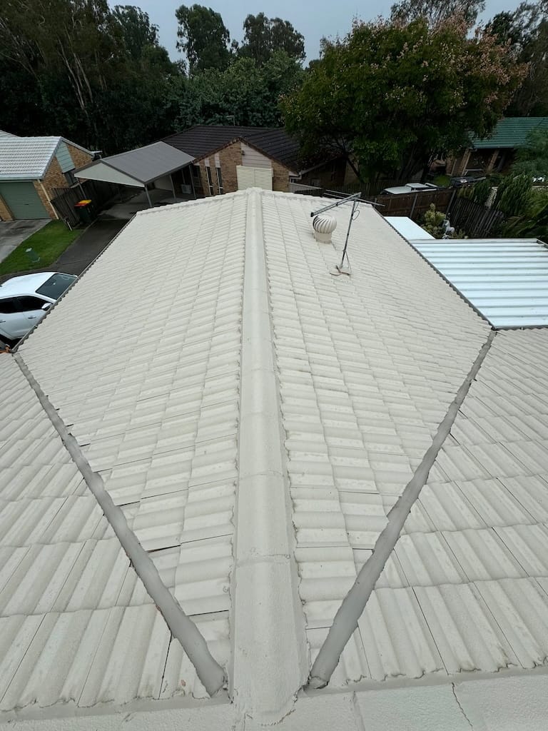 after roof cleaning brisbane