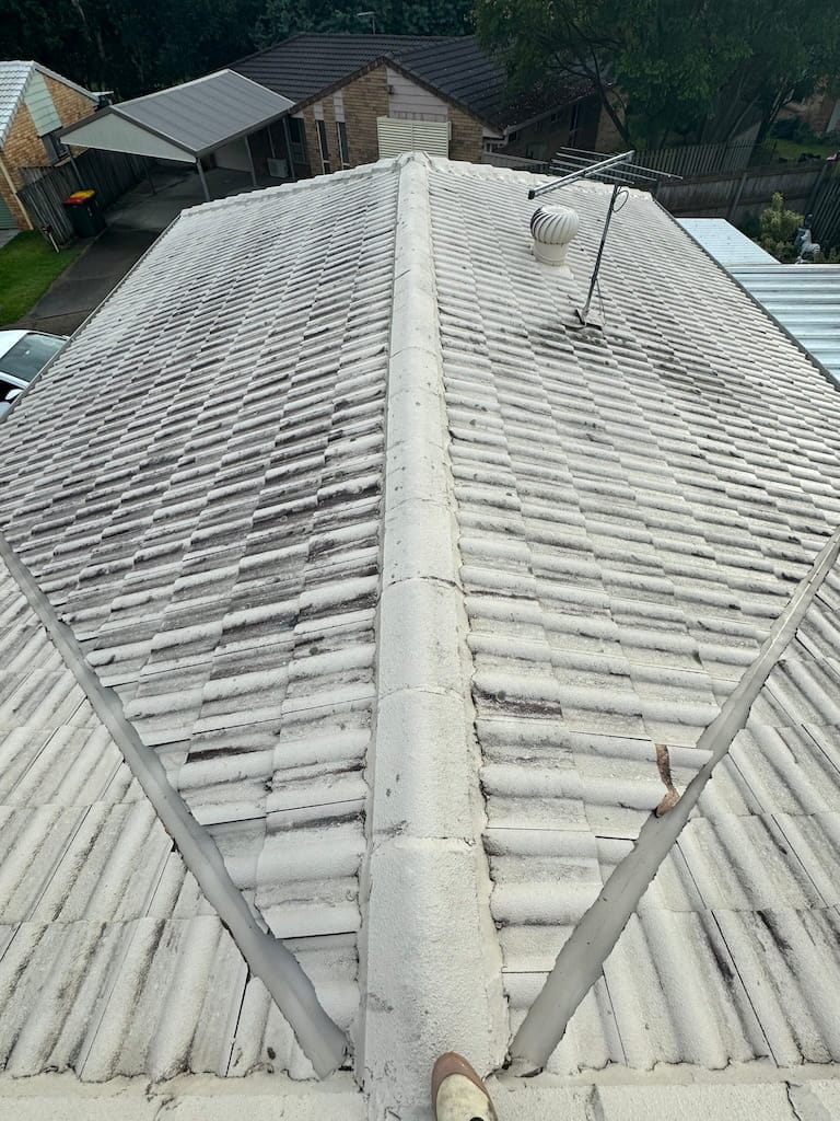 before roof cleaning brisbane