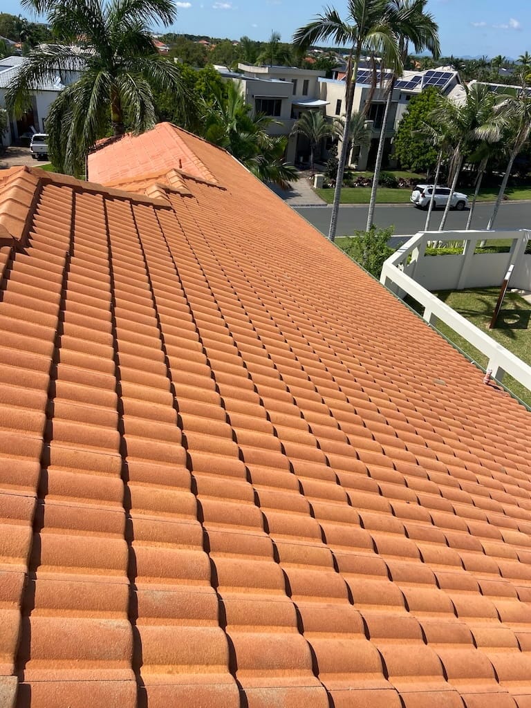 Carina Roof Clean After Teracotta