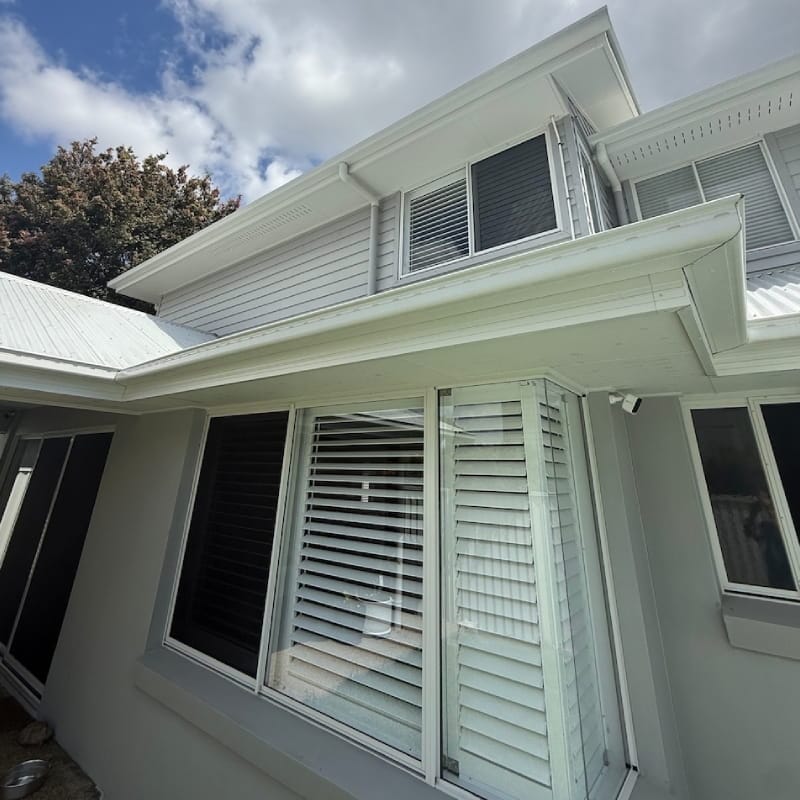 roof and house cleaning