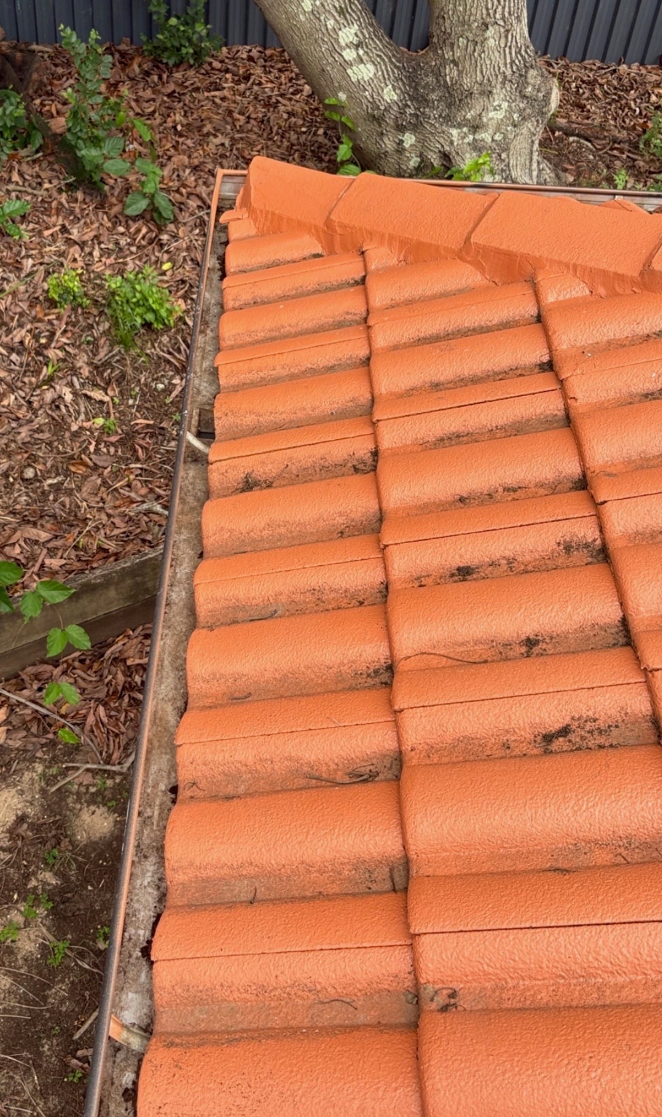 After roof cleaning in Brisbane tile roof covered in leaves