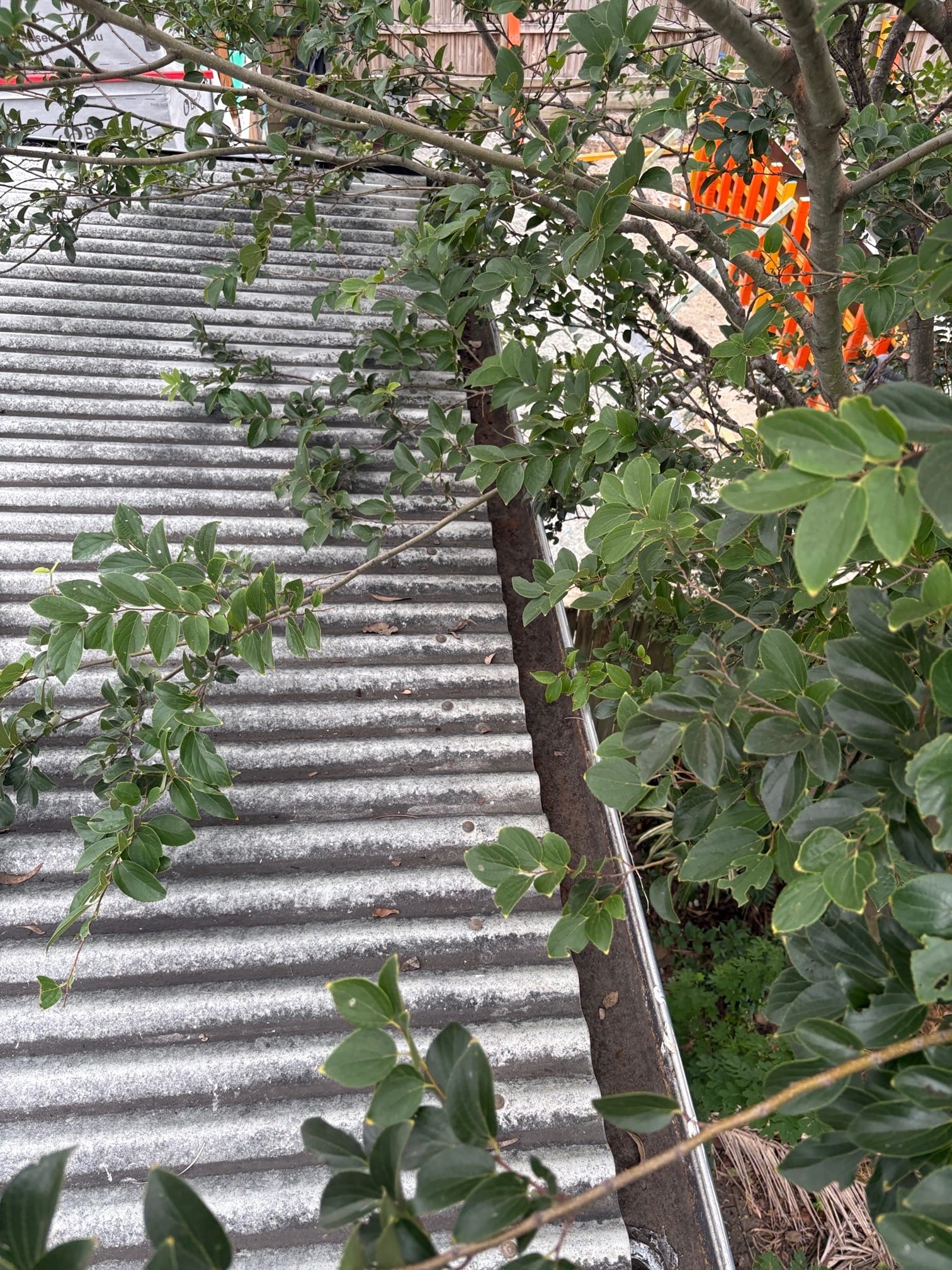 After roof cleaning in Brisbane Light roof covered in leaves