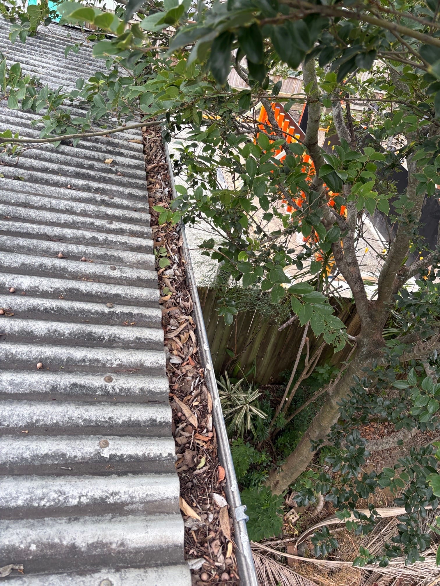 Before roof cleaning in Brisbane Light roof covered in leaves