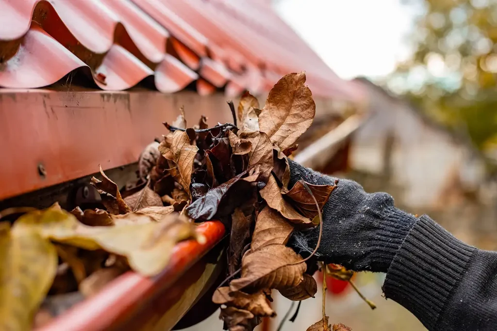 Gutter Cleaning Services available