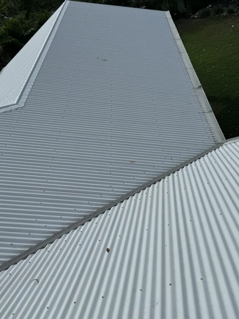 after-roof-clean