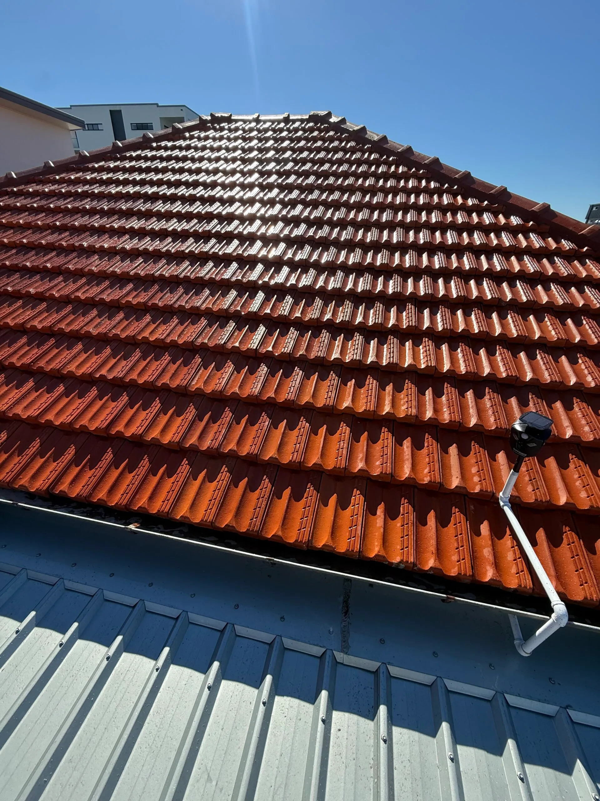 Lutwyche After