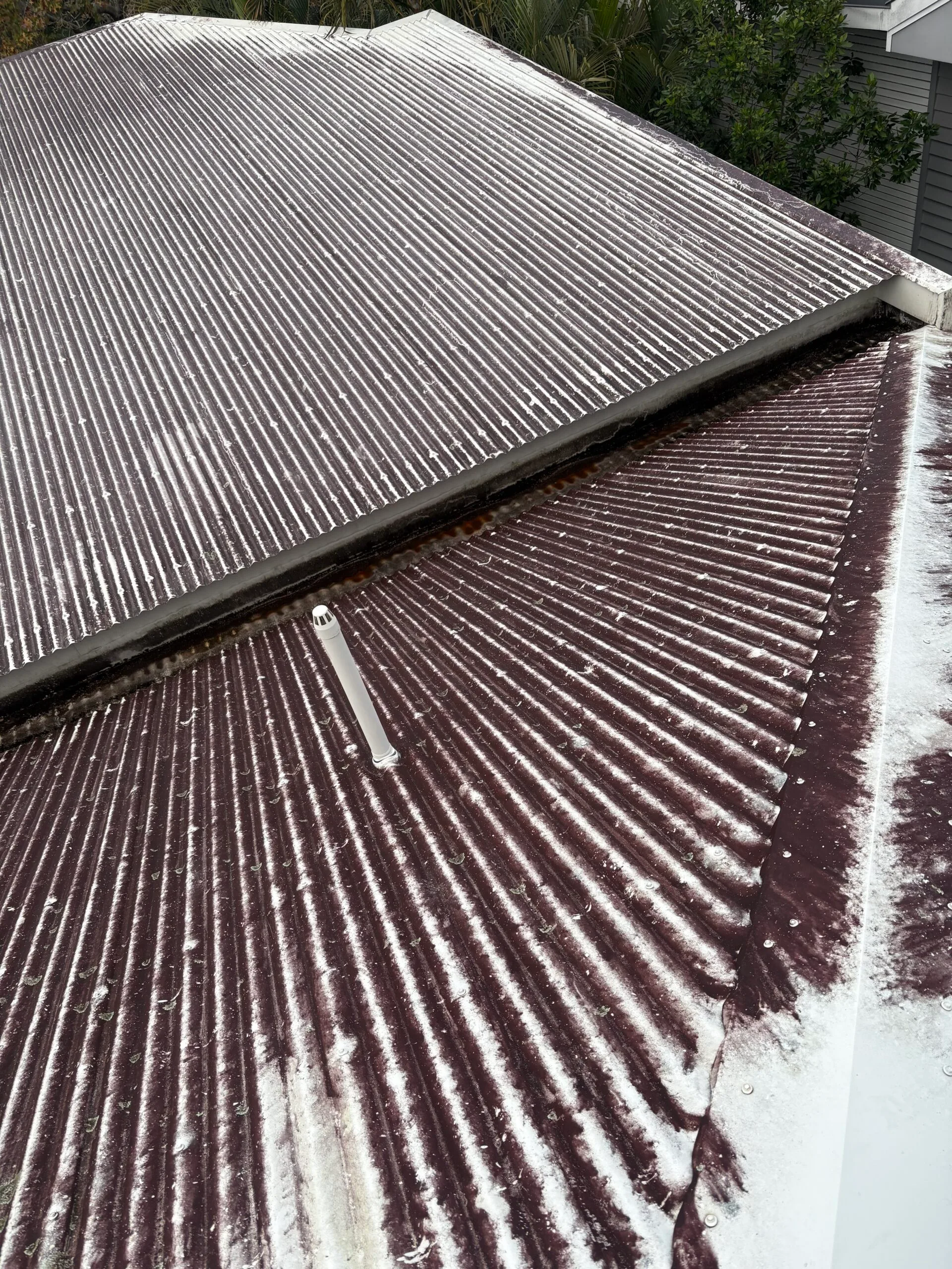 Ashgrove Before