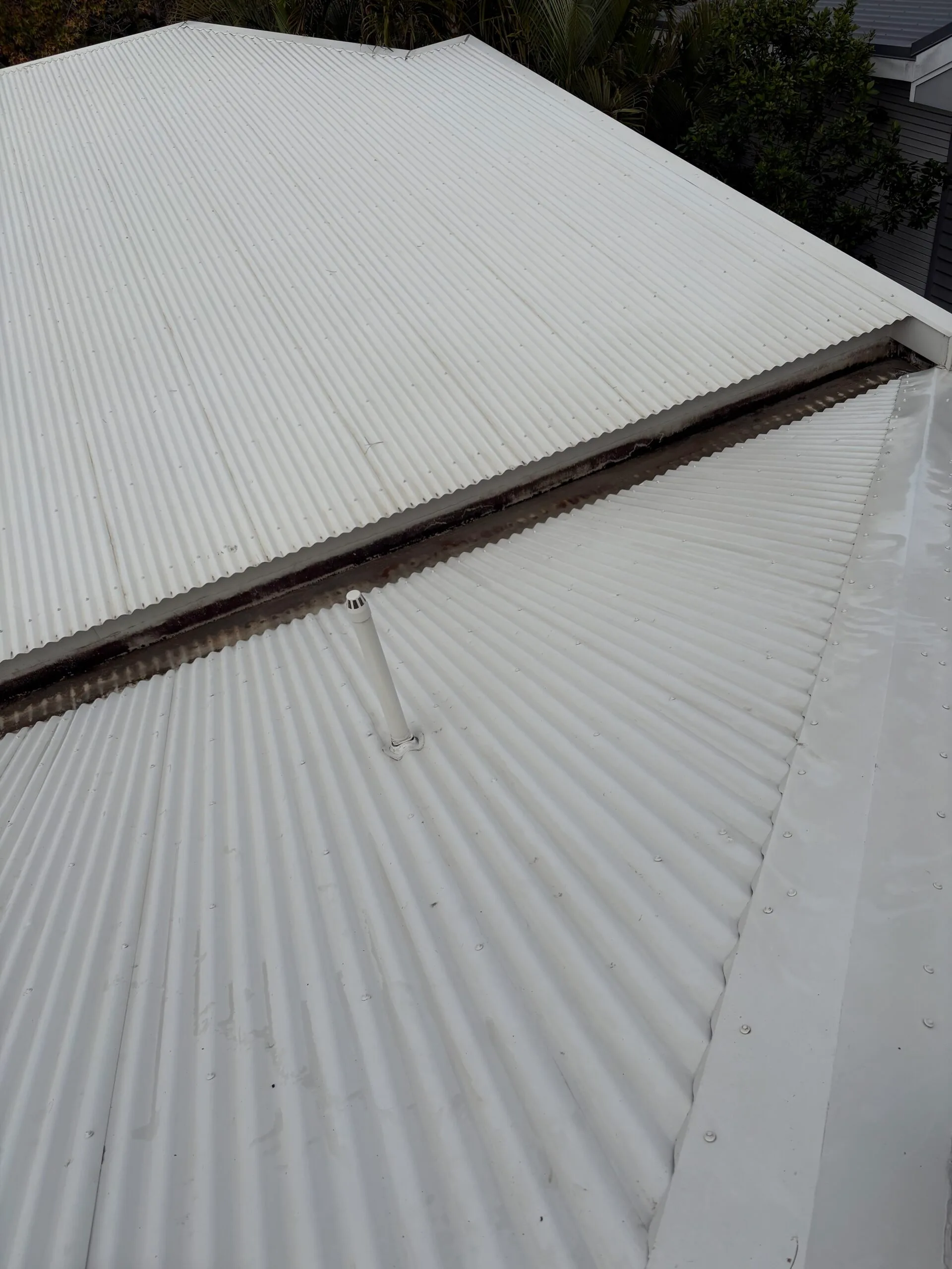 Ashgrove After