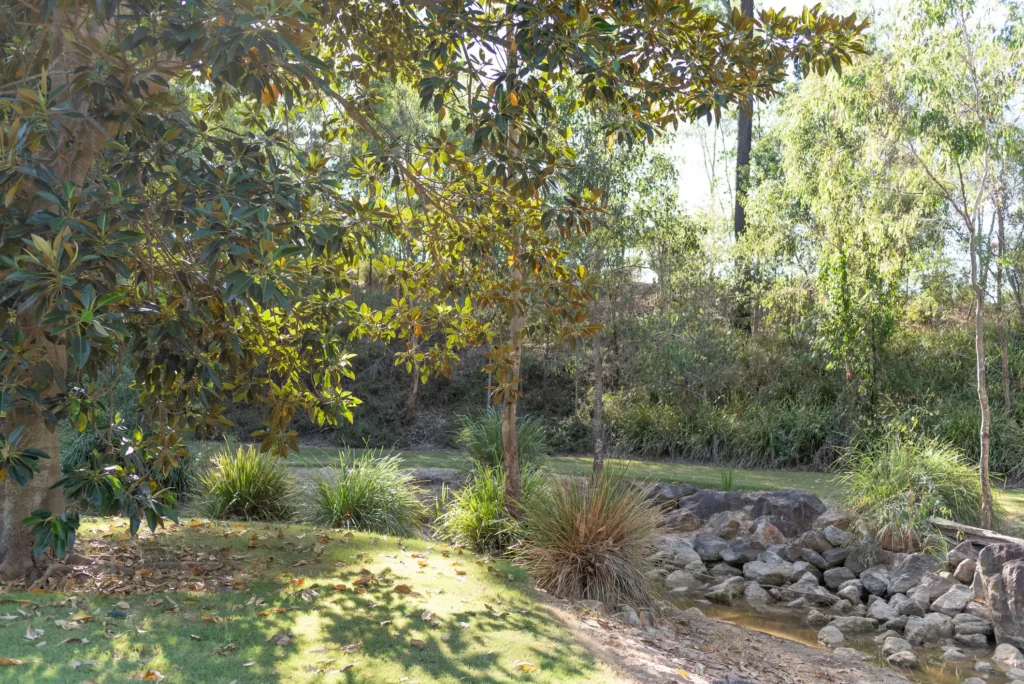 Robelle Domain Parklands Springfield, Queensland