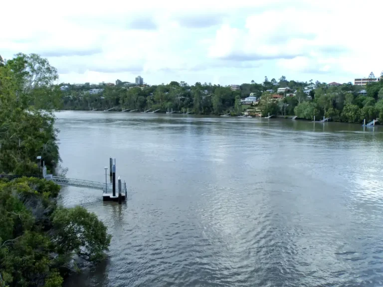 Boat jetties and buildings on the Brisbane River near Yeronga