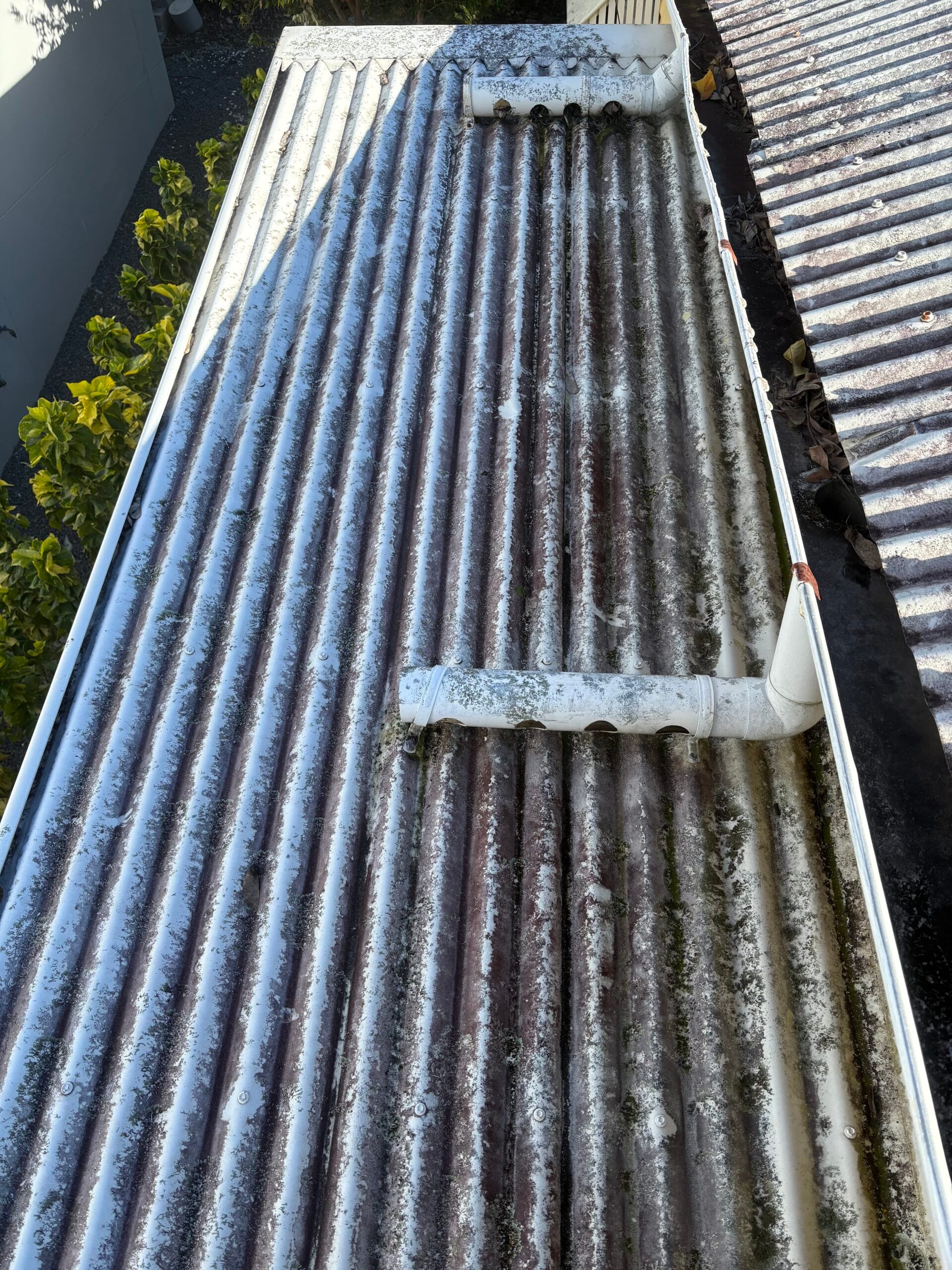Ashgrove Before
