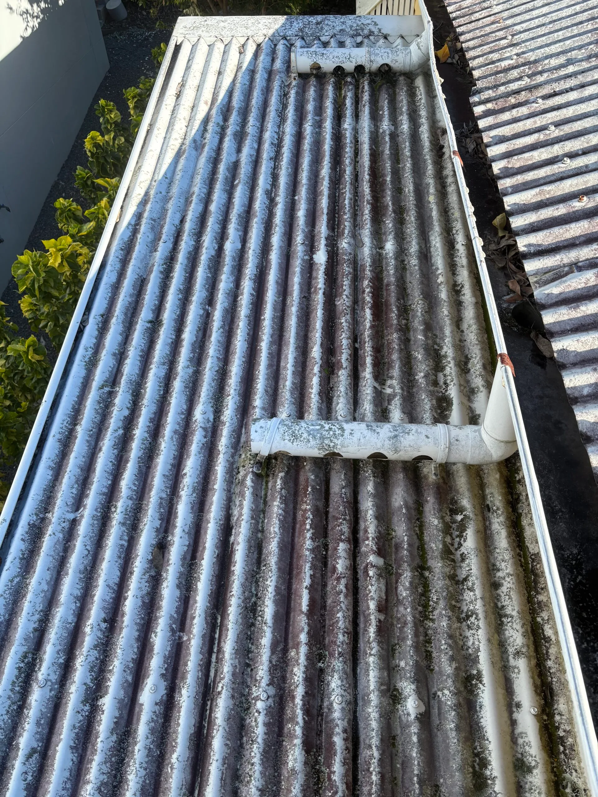 Ashgrove Before