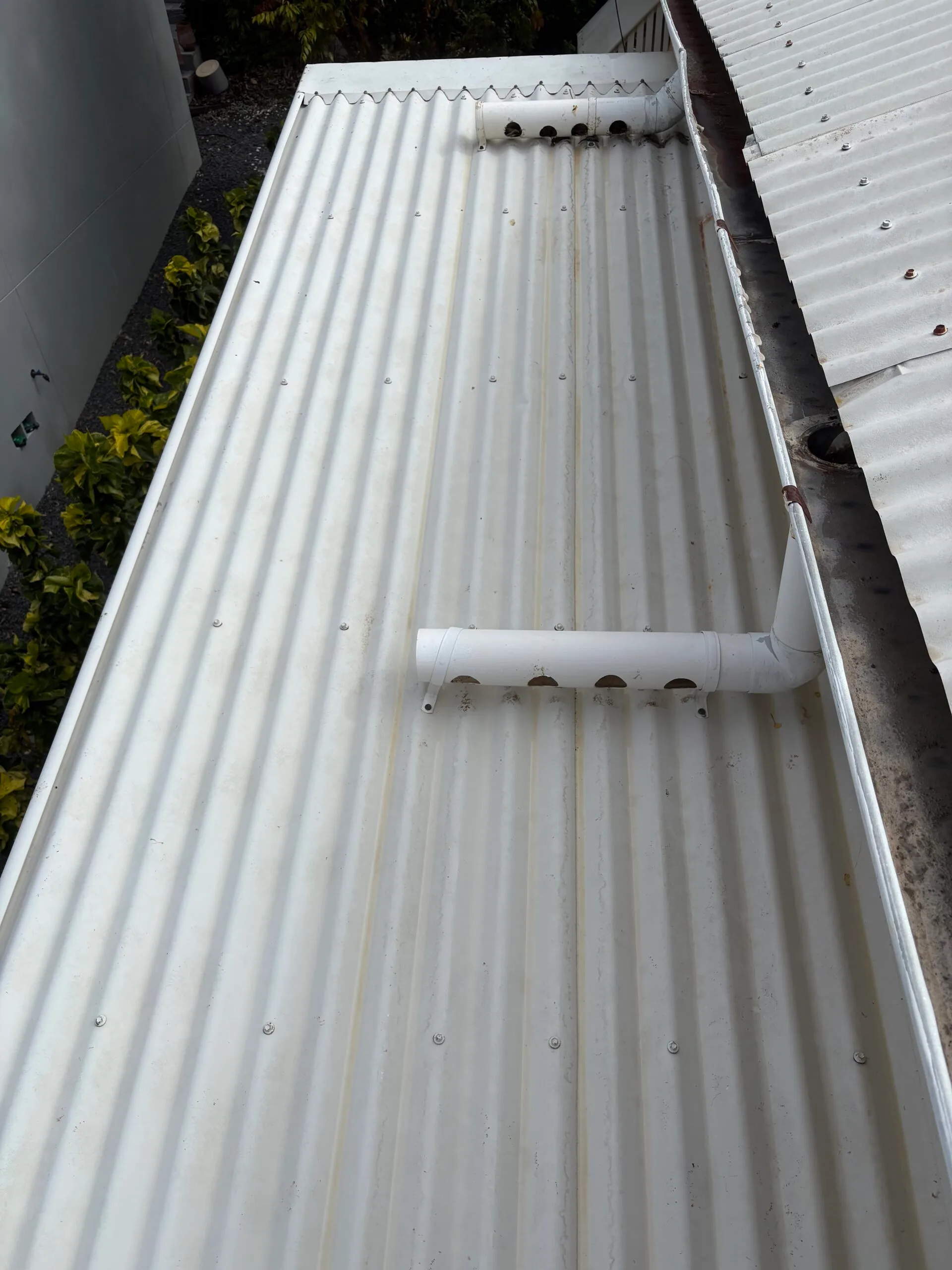 Ashgrove After
